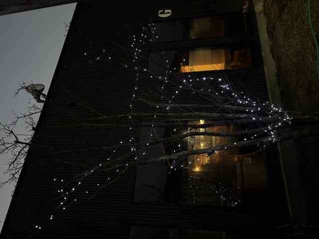 イルミネーション点灯🌟