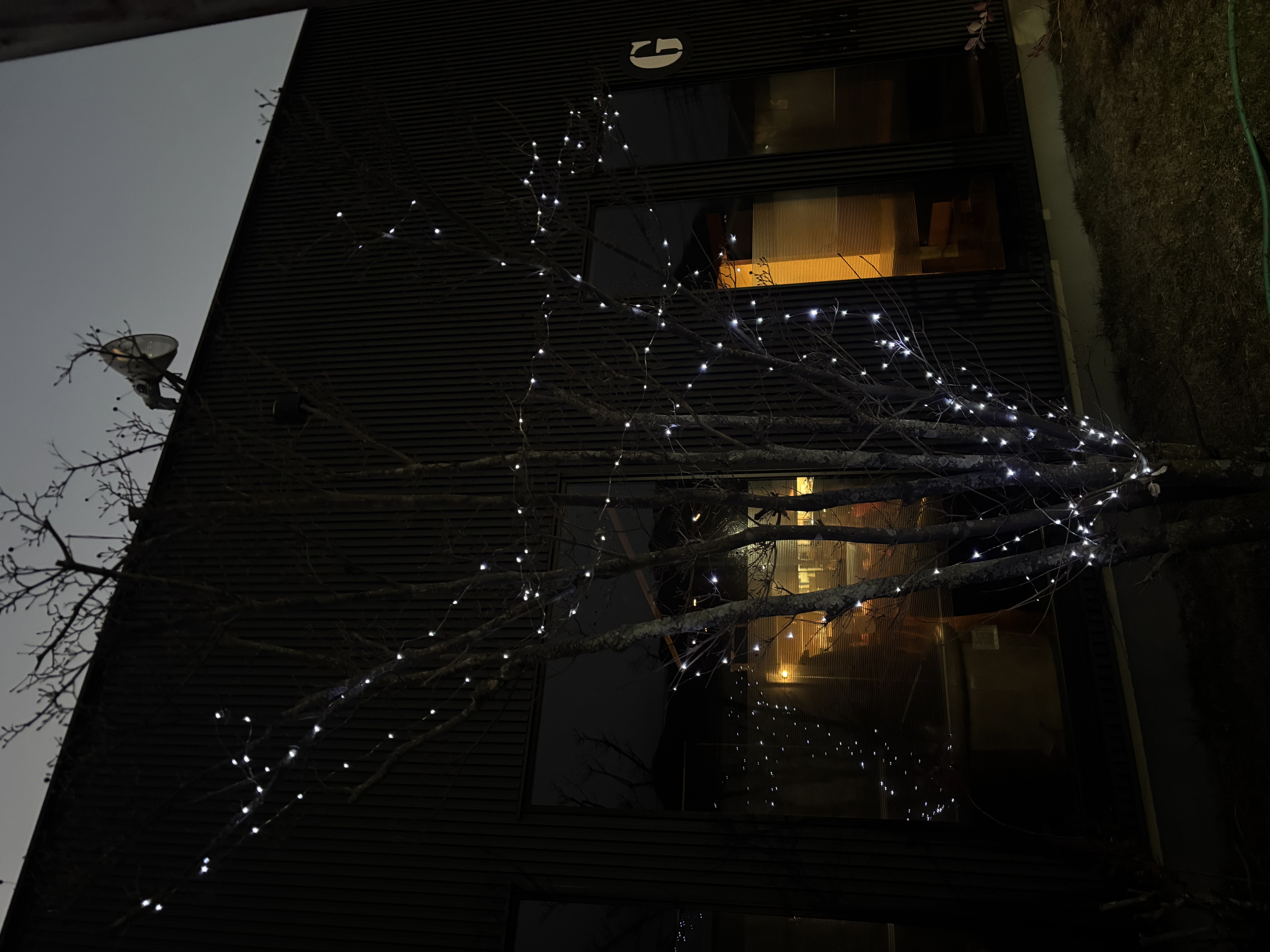 イルミネーション点灯🌟